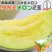  подарок на Bon Festival дыня takami дыня Aomori префектура производство ... дыня 2 шар входить 2.4kg и больше несессер .. для . тест дыня лето подарок 