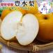  груша . вода груша Tottori префектура производство есть перевод . вода 5kg 8~20 шар . для бытового использования дом для [ прохладный рейс указание ]ju-si- фрукты фрукты почтовый заказ бесплатная доставка 