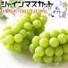  автомобиль in мускат есть перевод 2. виноград мускат всего примерно 700g для бытового использования Yamanashi префектура производство фрукты фрукты ваш заказ День почитания пожилых людей для бытового использования бесплатная доставка 