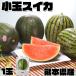  маленький шар арбуз Kumamoto префектура производство ... запад .1 коробка маленький шар 1.8kg × 1 шар ваш заказ фрукты высокое качество .. для День матери День отца подарок на Bon Festival . земля производство подарок 100511