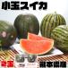 маленький шар арбуз Kumamoto префектура производство ... запад .1 коробка маленький шар 1.8kg × 2 шар ваш заказ фрукты высокое качество .. для День матери День отца подарок на Bon Festival . земля производство подарок 100512