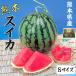  арбуз S размер Kumamoto префектура производство ...1 коробка 4kg × 1 шар комплект высококлассный ... и т.п. класс : превосходящий ( красный ).. для высококлассный запад . подарок фрукты День матери фрукты подарок 