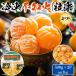  Ehime рефрижератор ....( не . огонь ) шарик приятный 500g×2 пакет ( всего 1kg) рефрижератор мандарин для бытового использования лето. закуска фрукты лёд фрукты подарок 