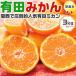  мандарин .... Arita mi can 3kg есть перевод для бытового использования Wakayama префектура Arita город производство .. маленький шар . смешивание отгрузка день оставив решение кому-то другому указанный день не возможно бесплатная доставка 