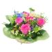 ( �t�����[�M�t�g ) �X�^���_�[�h�A�����W / ���[�Y�K�[�f�� / �r ���j�� �L�O�� ���� �v���[�����g