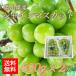  Okayama префектура производство автомобиль in мускат примерно 600g 2. входить примерно 1.2kg бесплатная доставка Okayama виноград вид нет виноград фрукты фрукты для бытового использования есть перевод День почитания пожилых людей подарок .. подарок рука земля производство 