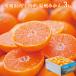  ваш заказ Ehime префектура запад . мир производство мандарин уншиу 3kg ( отгрузка день :11/03-12/26 примерно ) бесплатная доставка ( Hokkaido * Okinawa за исключением )[_ s25wg _