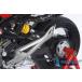 Monster 1100 evo 2008-2014 Ilmberger качающийся рычаг Swing Arm покрытие глянец нет SSO.017.D110M.K