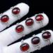PROME �V�R�� ���ʎd�l�i�E����i�E�ē��וs�E�`�F���[�A���o�[�E�����w�ցE�t���[�T�C�Y�Ep8998