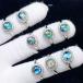 PROME �V�R�� ���ʎd�l�i�E����i�E�ē��וs�E�A�o�����V�F���E�����w�ցE�t���[�T�C�Y�E P9128