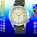 腕時計 メンズ セイコー オートマチック ケース幅40mm プロスペックス 革ベルト シルバー/ベージュ/カーキ色 SEIKO 1219PB123J1