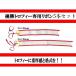 トロフィー リボン　　トロフィーペナント　3.8×30ｃｍ