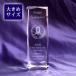 .. сувенир название inserting kendo сувенир собрание награждение Trophy сообщение скульптура 3D kendo crystal произведение искусства высота 150mm скульптура плата включая |NKTR-0067