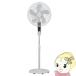 �t�������R���t���A�[DC��@ DC���[�^�[ �������� �z���C�g �� GF-DCF426FR-W 40cm�H�� �ȃG�l 12�i�K�؂芷�� �������