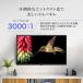 �t���e���r 32�^ maxzen �}�N�X�[�� 32V�^ 32�C���` �n��EBS�E110�xCS�f�W�^�� �t���n�C�r�W���� J32CH06�@1�l��炵 �V���� �֘A�摜3