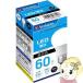 LED�d�� �����F 60W���� �O�H�P�~�J�����f�B�A �o�[�x�C�^�� Verbatim 60�` LDA7D-G/LCV2