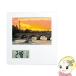 ADESSOateso класть часы фоторамка часы NP-604
