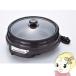 �A�r�e���b�N�X �d�C�O������ AGN-31G-T