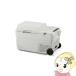 [ͽ]żݡ֥䲹 26L ꥹ IPDW-B3A-W ۥ磻/srm
