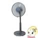 ���r���O��@ TEKNOS �e�N�m�X �H��30cm �O���[ KI-1710-G/srm