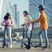 [ производитель прямая поставка ] Ninebot Kickscooter ES2na in boto с электроприводом самокат серый /srm