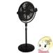 ��@ REED 50cm���J���X�^���h�t�@�� �u���b�N RD-YFS500-B �H���T�C�Y50c�� ���㑗���\ �z�m�x�d�@/srm