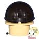 ���{�d�� ��[�^ �g�C���t�@�� �啗�ʃ^�C�v SP-20/srm