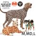 ���p �h�b�O�E�F�A ���̕� ���� �C���i�[ MANDARINE BROTHERS �}���_�����u���U�[�Y �X�L���^�C�g�X�[�c �}���`�v�����g M�AMD�AL