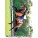 2021年 カレンダー 2021 壁掛け スポーツ 報知競馬