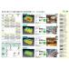 SHARP ���V��d��  DL-YPH10 200�v �֘A�摜2