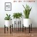  decorative plant flower stand stand iron made outdoors indoor stand for flower vase 11 number pot till adjustment possibility arrangement fruit tree 
