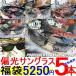 5,250円税別/送料無料 福袋 2018/店長イチオシ/Profisher偏光サングラス5本