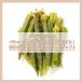 �I�N���`�b�v 150g ��؃`�b�v ��؃X�i�b�N ������ �I�N�� ������� �I�N���`�b�v�X �������� ���� ���܂� ������ ���[���� �������� �֘A�摜2