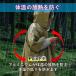 �G�}�[�W�F���V�[�V�[�g 2���Z�b�g �A���~�u�����P�b�g �A���~ �V�[�g �T�o�C�o���V�[�g �h�ЃO�b�Y �Q�� �É� �ۉ� �|���`�� �J�b�p �֘A�摜2