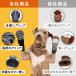 �� �C�� ����~�� �E���Ȃ� ���C �h�b�O�V���[�Y �V�� ��� ���p�C�� ���̌C�� ���� ���^�� ��^�� �����O �U�� ���O �֘A�摜1