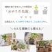 �����`�F�b�J�[ sustee �y�됅���v �T�X�e�B�[ �����v ����� �A�� M �T�C�Y 5�{�Z�b�g �֘A�摜1