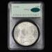 1900�N 1�h�� MS62 CAC OGH ���[�K���E�_���[ - ��PCGS���g���[�z���_�[ - �O���[�h�s�� PQ