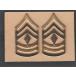 ԥХå US Army Pin On Rank, 1SG, E-8, Brass, Gemsco G23, Pair