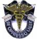 ԥХå Special Forces Crest DI SFG Pin Army SFG Airborne Medical 18D Insigni