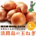 [ Awaji Island производство ] 5 kilo Awaji Island шар лук порей сельское хозяйство дом прямая поставка .. лук большая вместимость .. шар лук порей .. шар лук порей сахар раз 10%