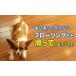 �������̂��߂̂��ׂ�~�ߏ��R�[�e�B���O�܂ƃI�[�����b�N�X���C�p�[�̃Z�b�g�@�������܂܃��C�p�[�h�@�������C �֘A�摜2
