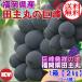  Fukuoka префектура производство * рисовое поле . круг. .. виноград 1 коробка примерно 2kg 5~6.8 месяц 23 день передний после отправка предположительно бесплатная доставка T отметка 2 раз!