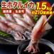 1kg+500g ( примерно 210 хвост передний и задний (до и после) ) Echizen производство сырой ho ta Louis ka сырой еда возможно сырой ..... ho ta Louis ka sashimi для ho ta Louis ka ho ta Louis ka sashimi кальмар . sashimi рефрижератор ho ta Louis ka бесплатная доставка 