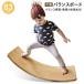 �o�����X�{�[�h �ؐ� ���ǂ� ���� �q�� �̊� �g���[�j���O �o�����X�f�B�X�N �o�����X �g���[�j���O ���K �V�� �m��ߋ� �����V�� balance-bo02