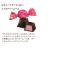 �S�f�B�o�����iGODIVA�j�`���R���[�g G �L���[�u �A�\�[�g�����g�i6�����j �l�ߍ��킹 �M�t�g ���� �v���[���g ���� �֘A�摜4