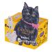 �S�f�B�o�����iGODIVA�j�n���E�B�� �`���R���[�g �S�f�B�o �u���b�N�L���b�g �R���N�V���� G �N���X�s�[�V���R�� �A�\�[�g�����g�i3�����j�M�t�g ���� �֘A�摜1