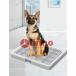 extra-large dog for toilet middle for large dog toilet mesh attaching toilet tray pet dog cat for four -ply structure waterproof leak prevention speed . deodorization slip prevention .. training pad holder indoor 