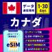 eSIM �J�i�_ �J�i�_eSIM �J�i�_�peSIM 1���� 3���� 5���� 7���� 10���� 15���� 30���� ���S�T�|�[�g ���`���[�W�\