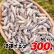  freezing koorogi300g approximately 1000 pcs 1.5-2cmkoorogi Europe i eko orogi Leo pa. bait reptiles * amphibia * meat meal fish for GokiBank Goki Bank 