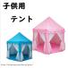  Kids палатка house детский Play палатка палатка tipi- палатка . пустой shop Play house мяч house простой игрушечный секрет основа земля ребенок часть магазин подарок подарок 